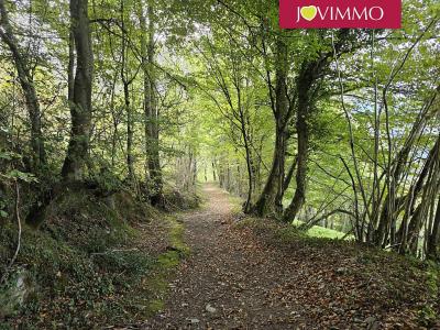 Acheter Maison Esparros Hautes pyrenees