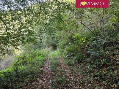 Acheter Maison Esparros 110000 euros