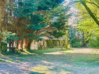 Acheter Maison 110 m2 Pont-l'eveque