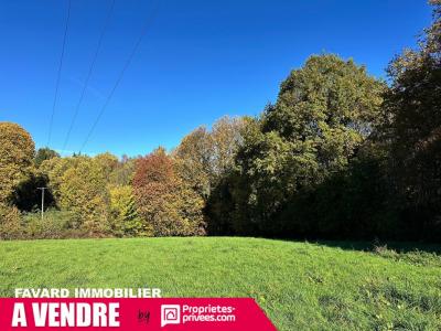 Annonce Vente Terrain Saint-sornin-lavolps 19