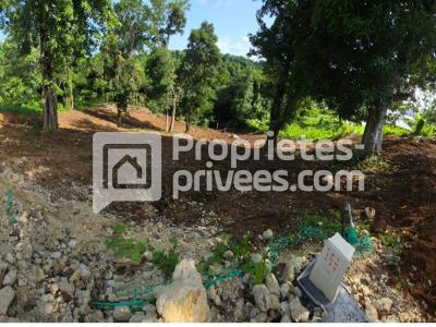 Annonce Vente Terrain Petit-bourg 971