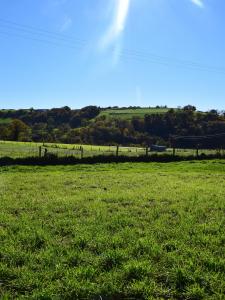 Annonce Vente Terrain Chatelus 42