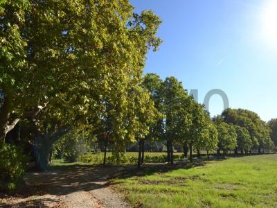 Acheter Prestige Bollene Vaucluse