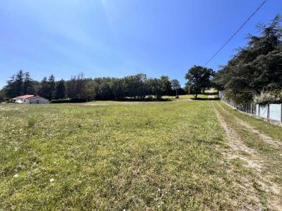 Annonce Vente Terrain Graulhet 81