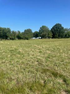 Annonce Vente Terrain Saint-remy-les-chevreuse 78