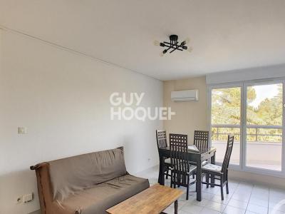 Annonce Location 2 pices Appartement Montpellier 34
