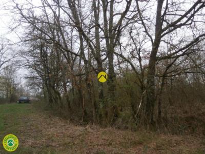 For sale Mezieres-en-brenne 2404 m2 Indre (36290) photo 0