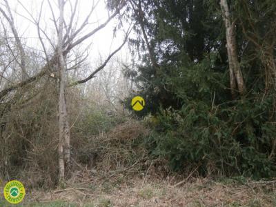 Annonce Vente Terrain Mezieres-en-brenne 36