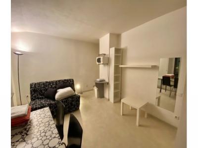 For rent Toulouse 1 room 23 m2 Haute garonne (31000) photo 1