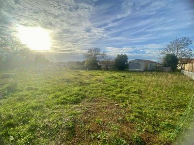 Annonce Vente Terrain Longeville-sur-mer 85