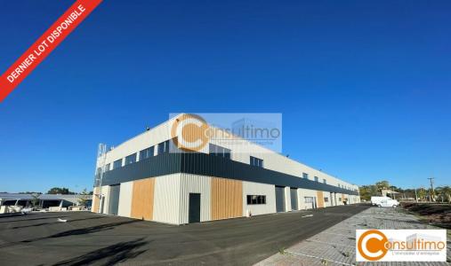 Annonce Vente Commerce Salleboeuf 33