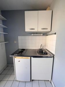 Louer Appartement Lyon-7eme-arrondissement 469 euros