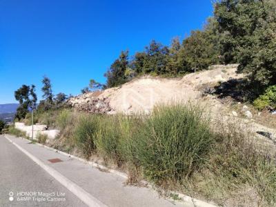 For sale Montauroux 2500 m2 Var (83440) photo 2