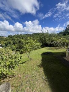 For sale Ducos 1405 m2 Martinique (97224) photo 0