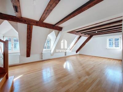 Annonce Location 2 pices Appartement Strasbourg 67