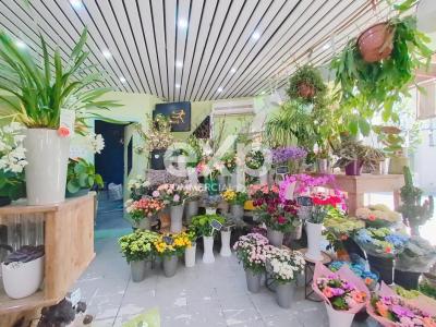 Annonce Vente Commerce Perreux-sur-marne 94