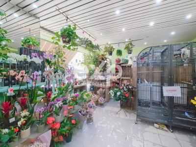 Acheter Commerce 57 m2 Perreux-sur-marne