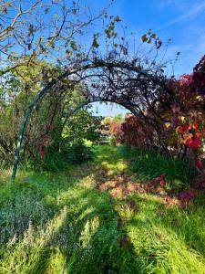 For sale Chassieu Rhone (69680) photo 0