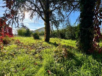 Annonce Vente Terrain Chassieu 69