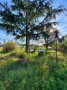 Acheter Terrain Chassieu Rhone