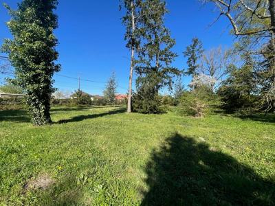 Annonce Vente Terrain Solterre 45