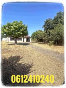 For sale Lamothe-montravel 4 rooms 80 m2 Dordogne (24230) photo 0