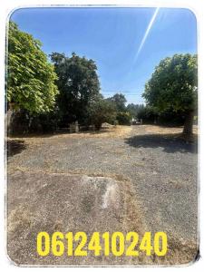 For sale Lamothe-montravel 4 rooms 80 m2 Dordogne (24230) photo 3