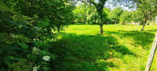 Acheter Maison Guerche-sur-l'aubois Cher
