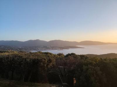 Annonce Vente Terrain Olmeto 20