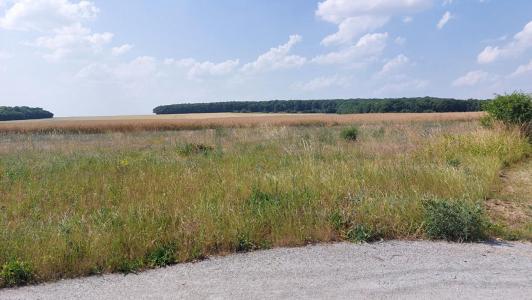 Acheter Terrain Brecy Cher