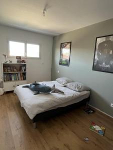 Acheter Prestige 137 m2 Montesquieu-des-alberes