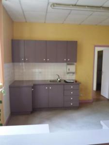 Acheter Maison 500 m2 Fougeres