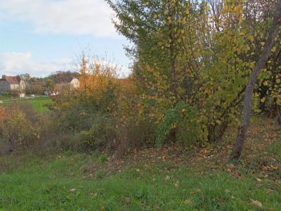 Acheter Terrain Larnod Doubs