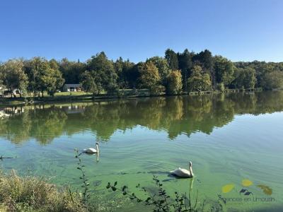 For sale Geneytouse 5 rooms 172 m2 Haute vienne (87400) photo 0