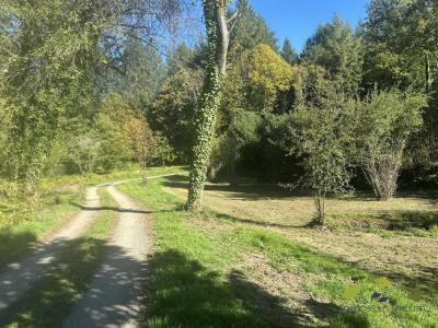 Annonce Vente Prestige Chapelle-montbrandeix 87