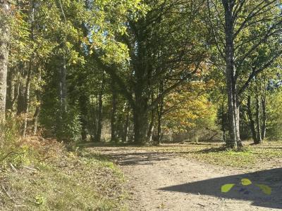 Acheter Prestige Chapelle-montbrandeix Haute vienne