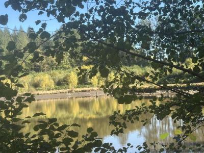 Acheter Prestige Chapelle-montbrandeix 316000 euros