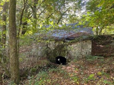 Annonce Vente Prestige Chaumeil 19