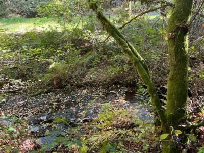 Acheter Prestige Chaumeil Correze