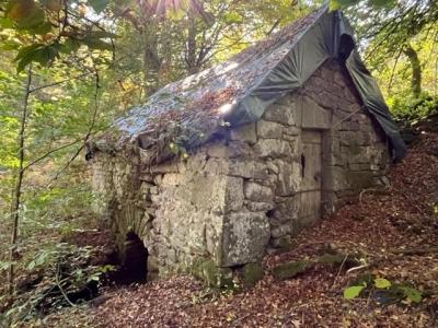 Acheter Prestige Chaumeil 39200 euros