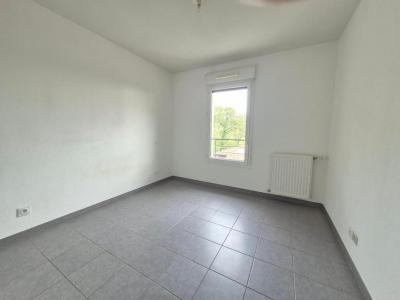 Louer Appartement Salvetat-saint-gilles Haute garonne