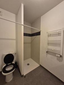 Louer Appartement Salvetat-saint-gilles 590 euros