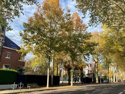 For sale Lambersart 5 rooms 134 m2 Nord (59130) photo 0