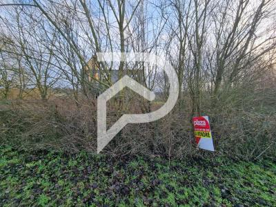 For sale Lottinghen 2000 m2 Pas de calais (62240) photo 3