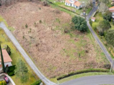 Annonce Vente Maison Biscarrosse 40