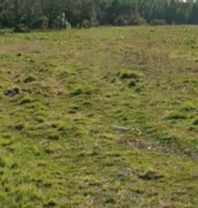 Acheter Maison 90 m2 Parentis-en-born