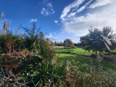 Annonce Vente 5 pices Maison Pontenx-les-forges 40