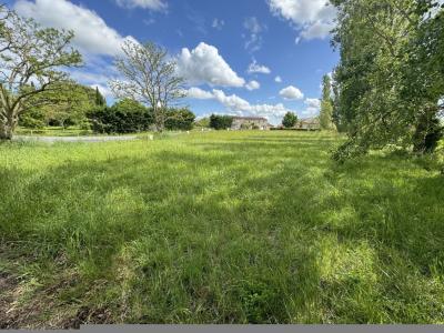 Annonce Vente Terrain  81