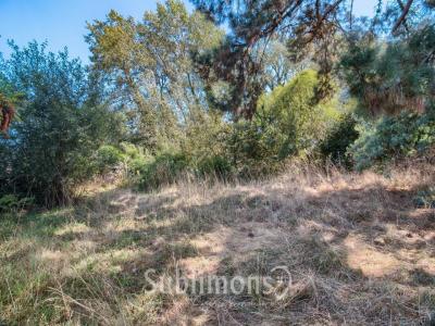 For sale Belz 400 m2 Morbihan (56550) photo 0