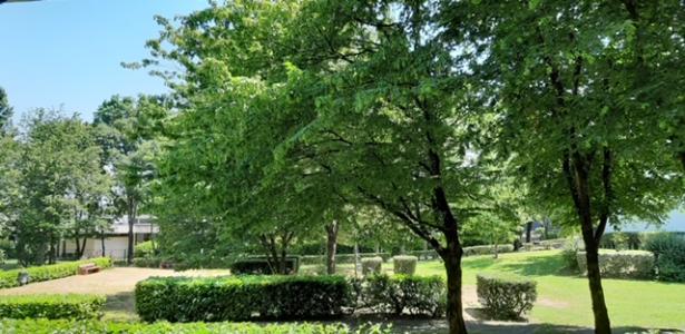 For rent Lormont 3 rooms 67 m2 Gironde (33310) photo 1